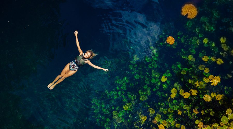 xenotes_09